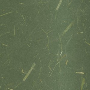 Wand und Decke | Takumi Japanische Raumgestaltung